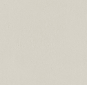 PŁYTKA 59,8x59,8x0,8 PD. INDUSTRIO LIGHT GREY GAT.1 TUBĄDZIN
